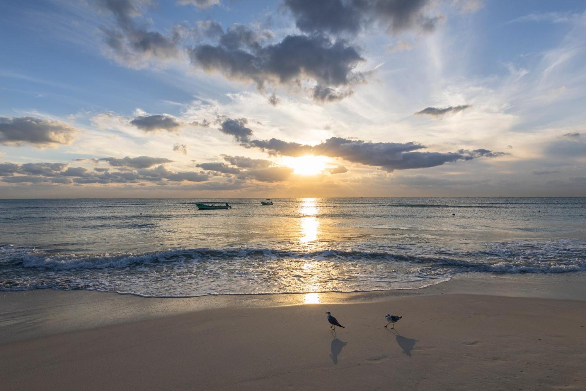 Areia Playa Del Carmen - Beach Front Hotel Buitenkant foto